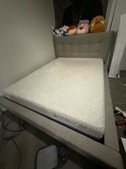 Bed Frame + Mattress