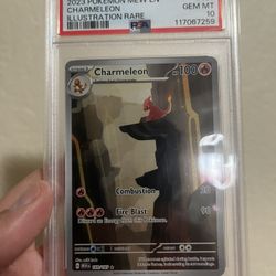 Charmeleon Pokemon Slab