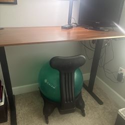 Electric Adjustable Standing Desk