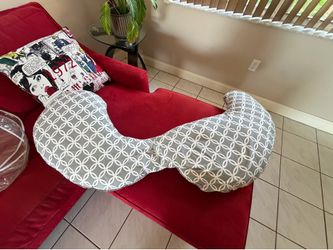U-Shaped Pregnancy Pillow with Storage Bag – $20 OBO