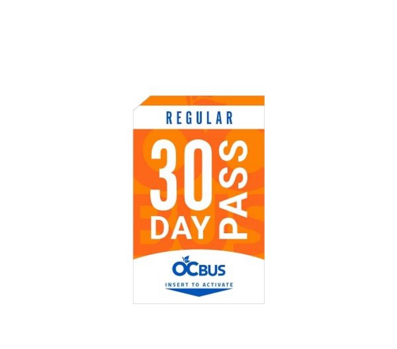 30 Day Buss Pass