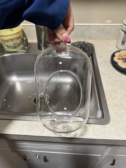 Plant Glass Terrarium