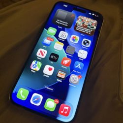 Fourteen Pro Max 256gb 