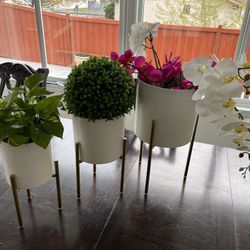 White And Gold Plant Decor Pots 