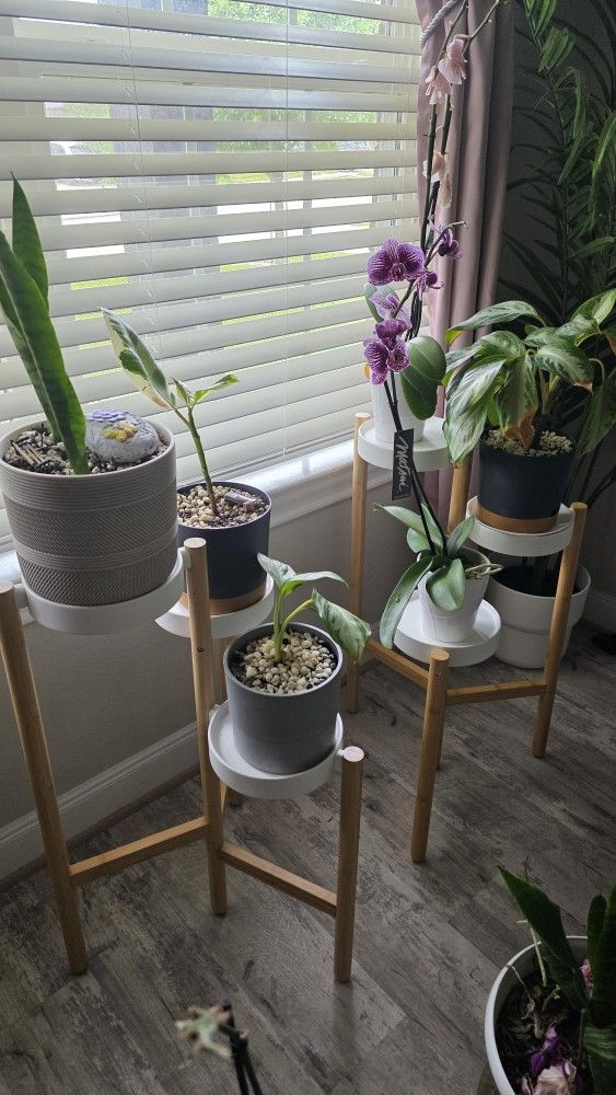 IKEA Plant stand - Satsumas (set of 2)