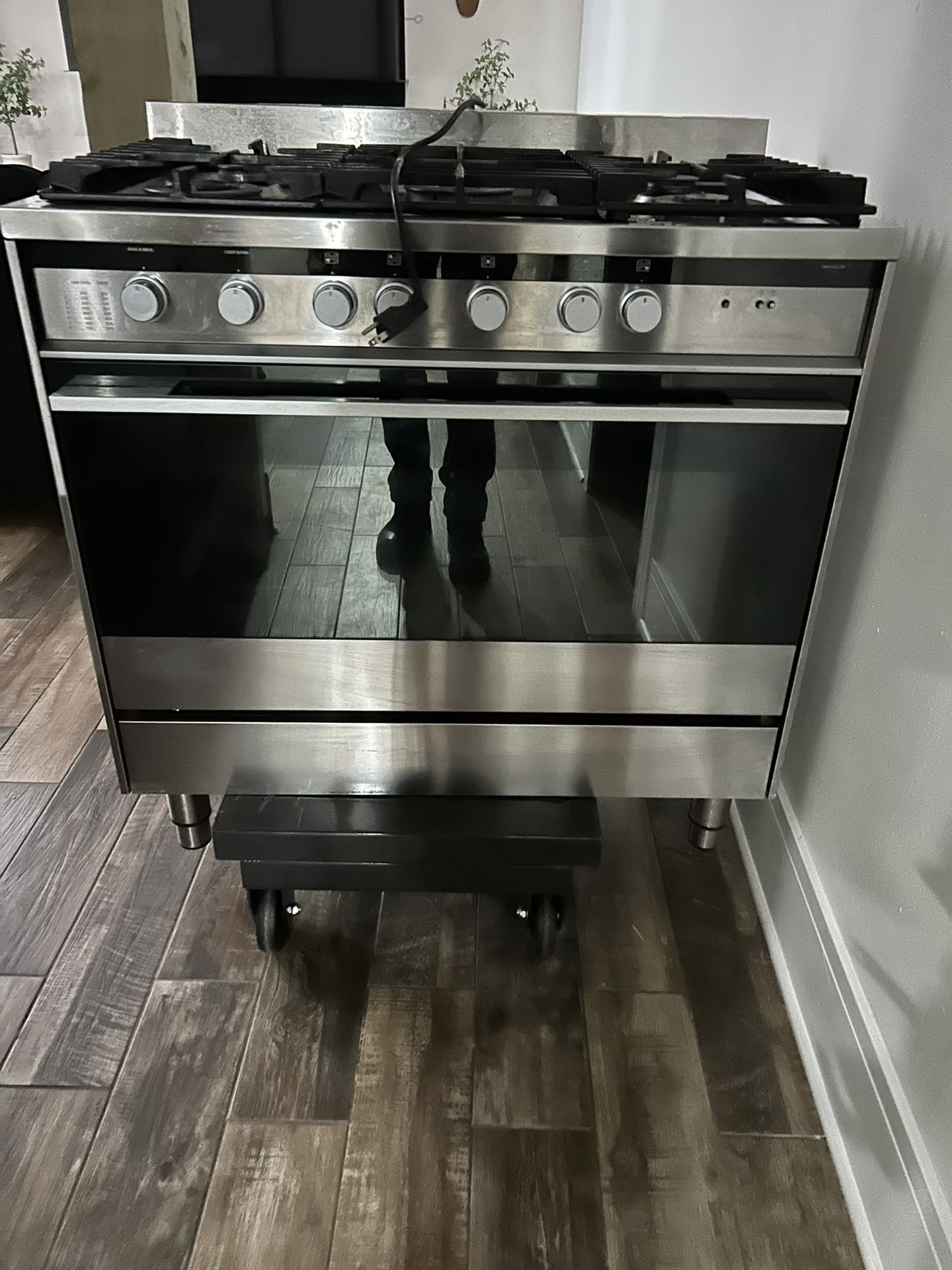 Fisher & Paykel Stove
