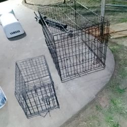 Dog Kennel 