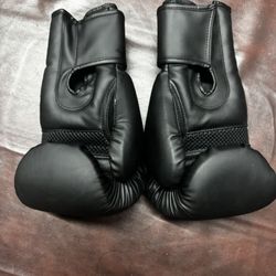 Guantes de boxeo / Boxing gloves
