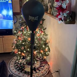 Everlast Standing Reflex Bag
