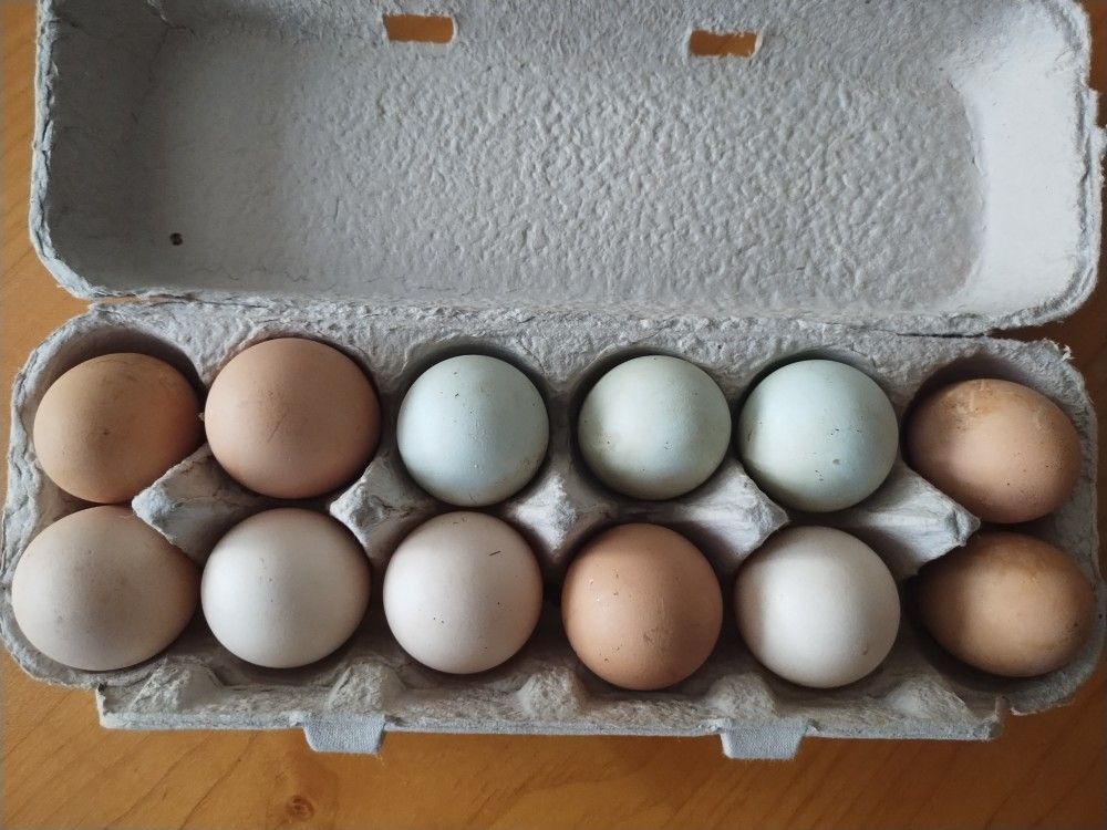 Farm Fresh Eggs