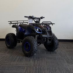 ATV/Quad -125cc Frame perfect For Teens! Brand New - CA Green Sticker! Affordable & Fully Assembled - Great Safety Features! No Hidden Fees!