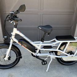 Electric Bike RadWagon 4