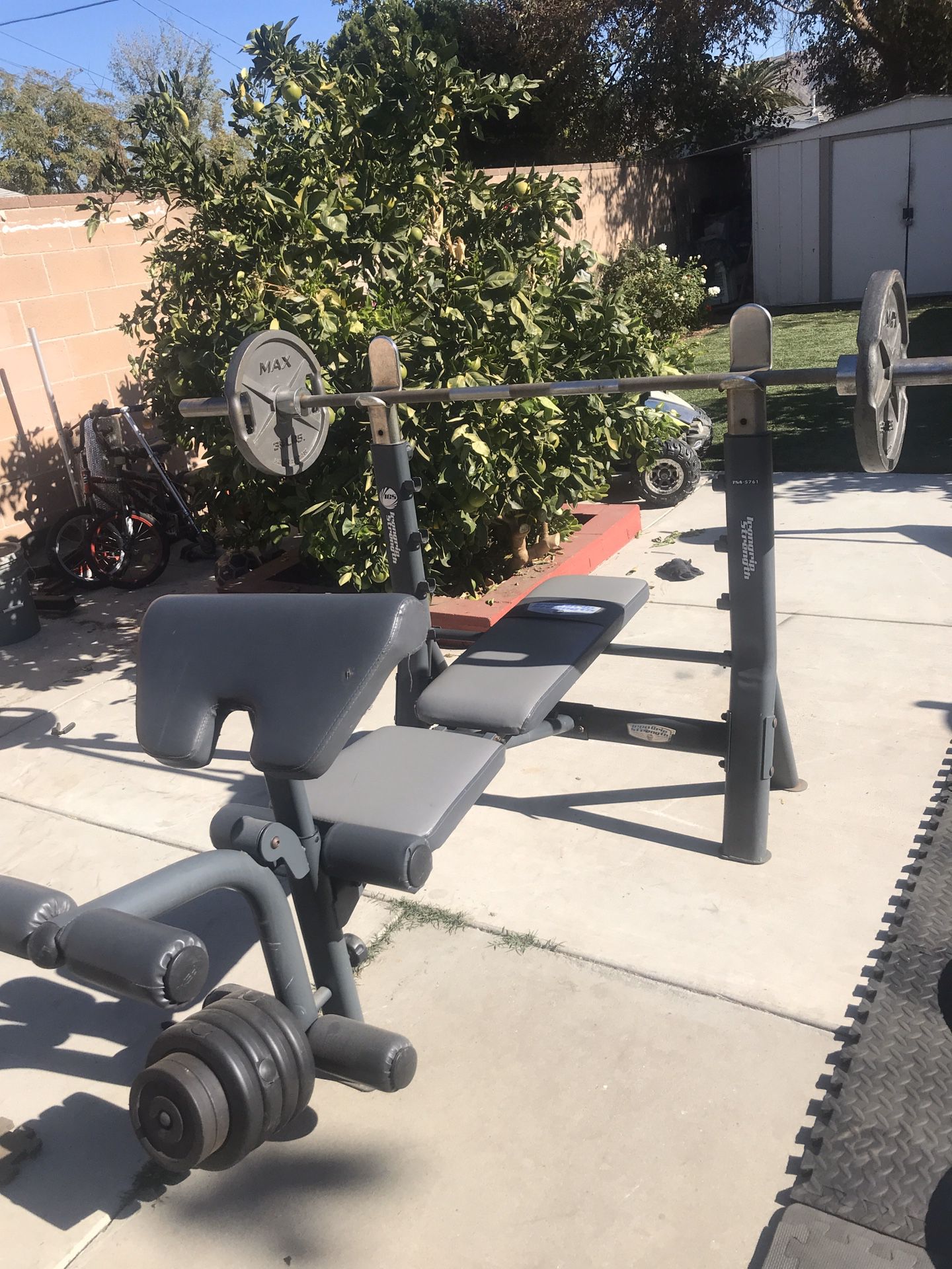 bench press with olympic bar and weights