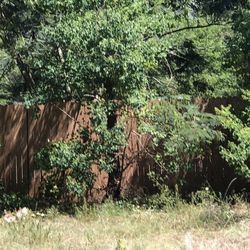 Free, free, free firewood and kindling, Check The Last Two Photos