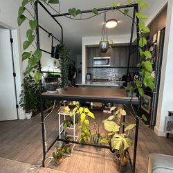 Table with ladder storage and vining plants