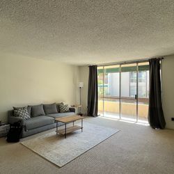 Grey Sleeper Sofa Couch 