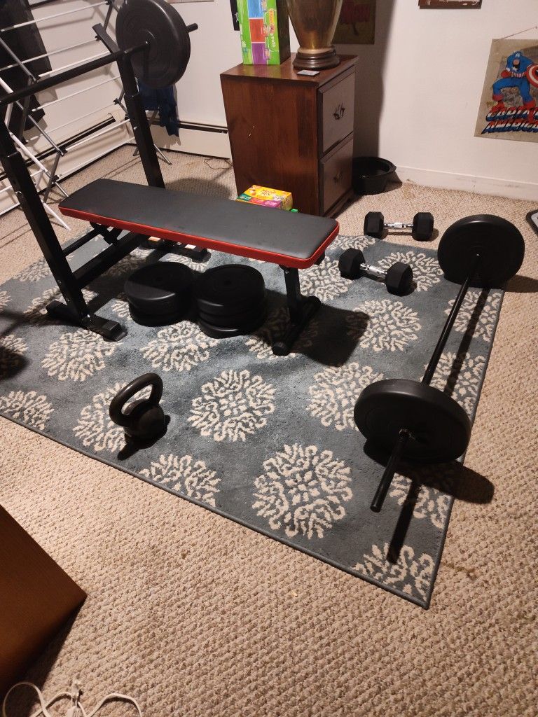 Great Christmas Gift Gym Equipment All For 150.00
