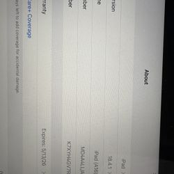 iPad 