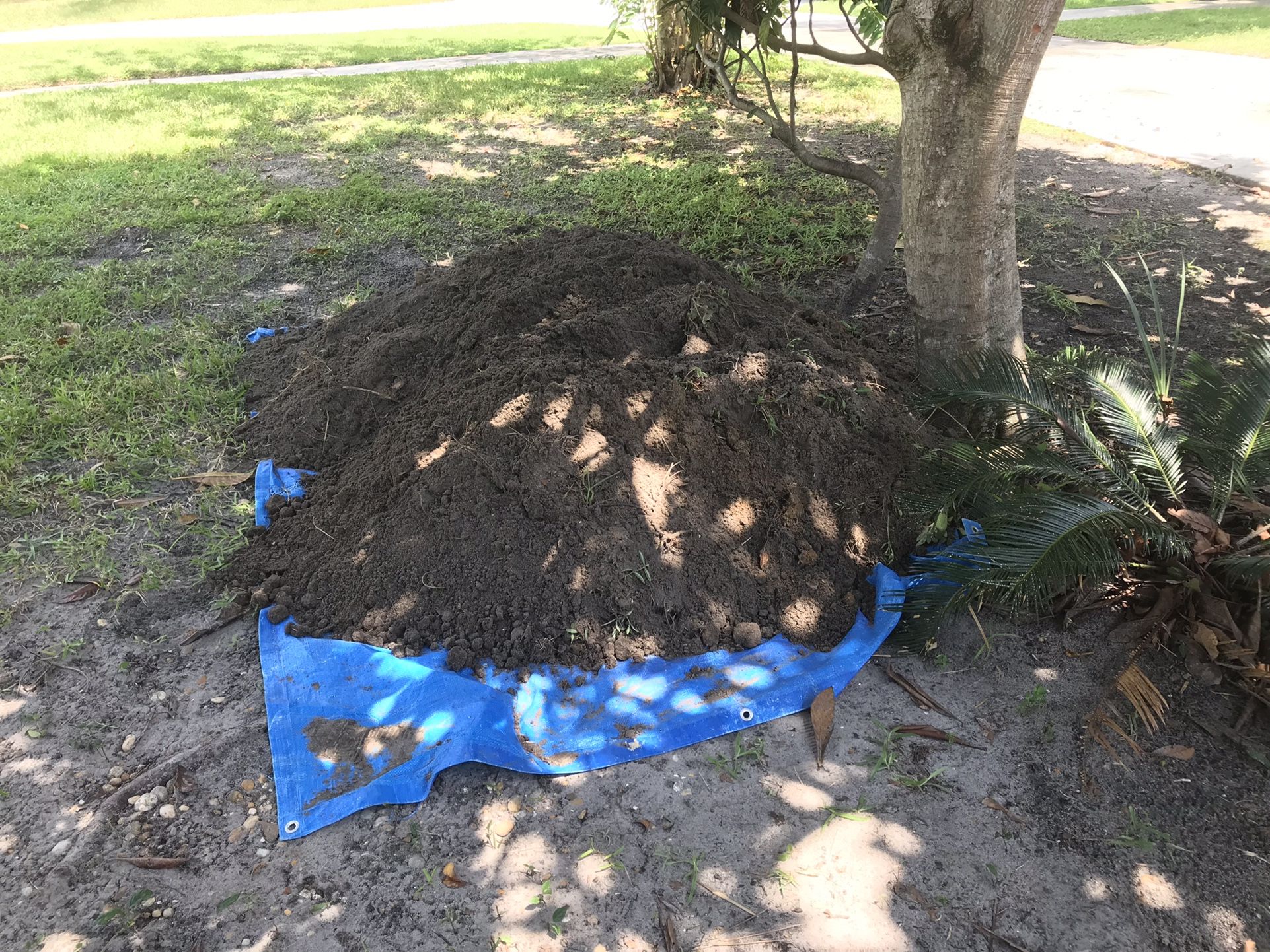 Free Fill Dirt Top Soil