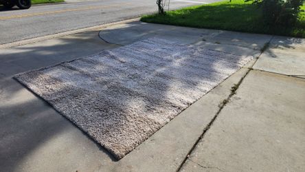 Brown Shag Area Rug 9x12