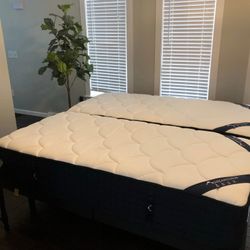 Dreamcloud Split King Mattresses 