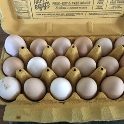 Farm Fresh Eggs