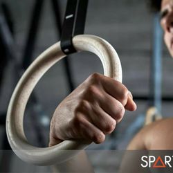Gymnastic Wooden Rings / Fitness Rings