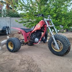 1984 Honda Atc 250r