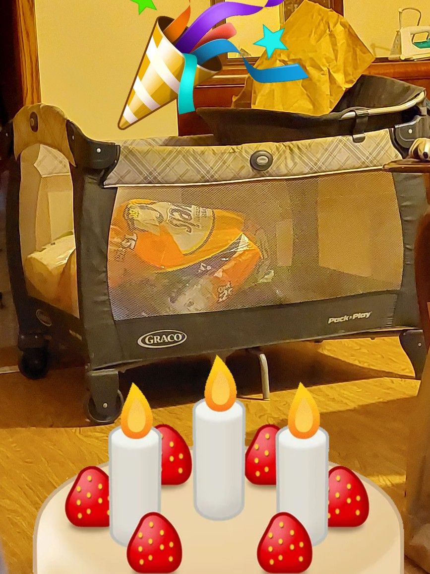 Graco Pack N Play Crib