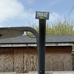 Ever Last Punching Bag