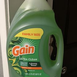 Gain Dish Soap