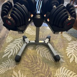 Bowflex 1090  With Stand