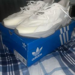 Adidas Shoes 