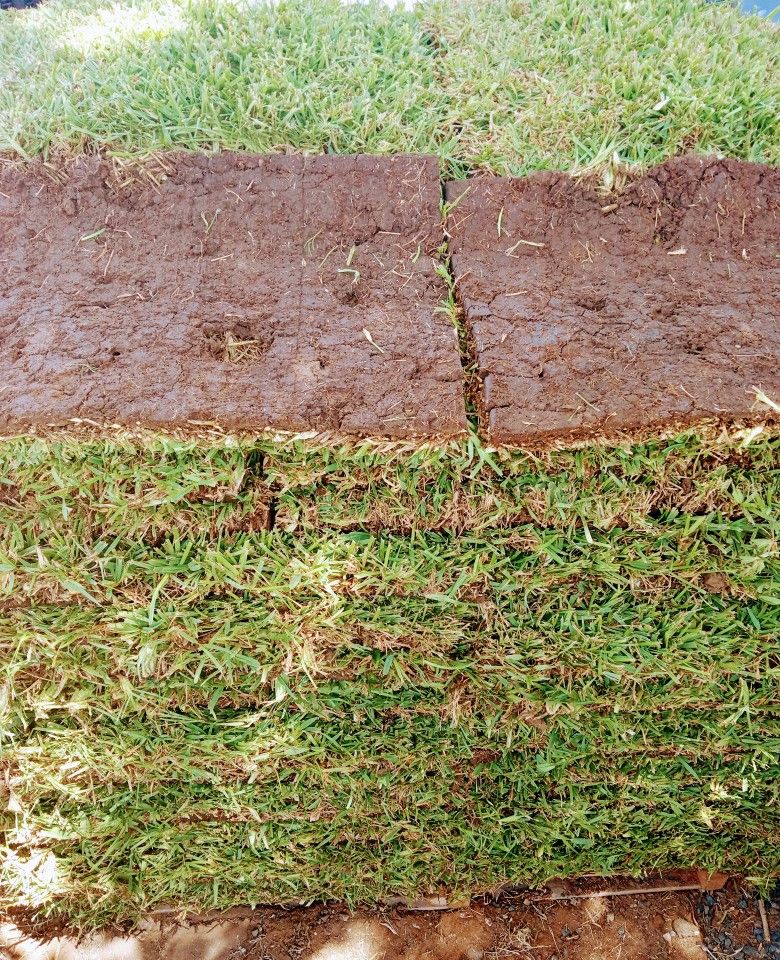 St Augustine Home & Garden