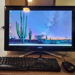 Sony VAIO All-in-One Desktop PC