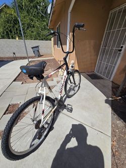 Mountain bike