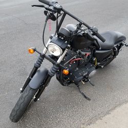 2011 Harley Davidson Iron 883
