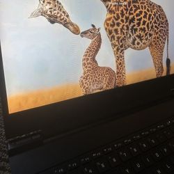 Gaming Laptop