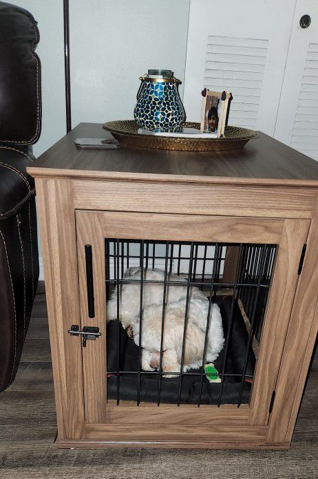 Dog Crate/Coffee Table