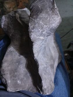 Petrified Dino Bone