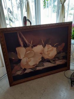 Beautiful picture $60 obo