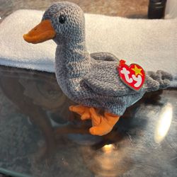 Beanie baby