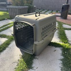 Petmate Dog Crate