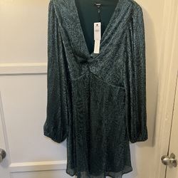 Express Women Party Dress