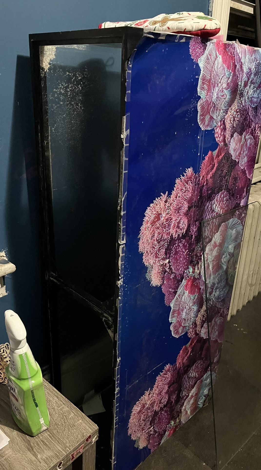 Two 55galon Fish Tanks 