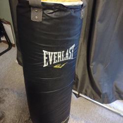 80lb Punching Bag