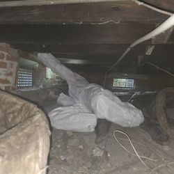 Vapor Barrier And Insulation Underneath 