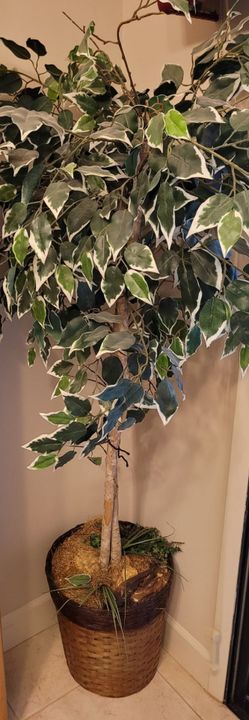 ARTIFICIAL FICUS TREE