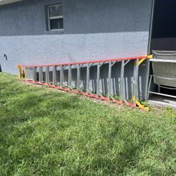 Platform Ladder 