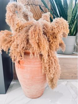 Italian Clay Pot with Pampas